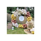 Retro Deniz Kumu Zerdaçal Ve Yaban Çiçeği Balon Zincir Seti