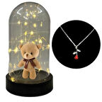 Fanus Teraryum Ayıcıklı Kolye Hediyeli