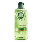 Yatıştırıcı Aloe İçeren Şampuan 350 ml