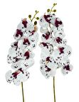 Yapay Çiçek Çilli Bordo Beyaz Islak Orkide Gerçeksi Doku Uzun Dal 90 cm