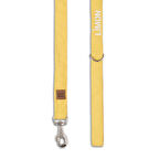 Kişiye Özel Köpek Gezdirme Kayışı İsimli Köpek Gezdirme Tasması