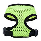 EASTLAND GÖĞÜS TASMA 15MM x 28-39 CM PARLAK YEŞİL