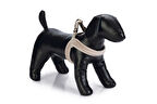 Beeztees DBL Köpek Göğüs Tasması, Velur, Gri, XXS, 15mm x 36cm