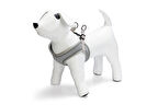 Beeztees Köpek Göğüs Tasması, Neopren, Gri, XS, 30-35cm