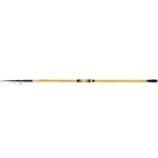 Shimano Kamış Beastmaster FX Surf Tele 4,25m 200g 6pc