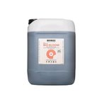 Biobizz Bio Bloom 20 Litre