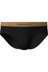 HIP BRIEF