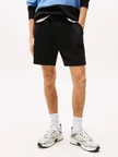 TOMMY HILFIGER TJM S FLAG BEACH SHORT EXT Şort
