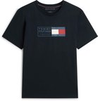 TOMMY HILFIGER Erkek Marka Logolu Günlük Kullanıma Uygun Lacivert T-Shirt MW0MW42366 DW5