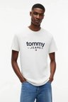 Tommy Jeans Erkek Tişört-DM0DM23376