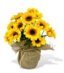 Yapay Çiçek Ay Çiçeği 18 Çiçekli Keten Saksılı Dekoratif Süs Çiçeği