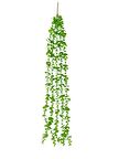 Yapay Çiçek Sarkan Okaliptus 80cm 5dal Yeşil Açık