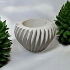  Kaktüs & Sukulent Dekoratif Alçı Saksı