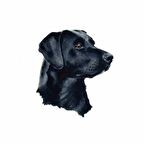 Labrador araba Sticker kişiselleştirilmiş çıkartması