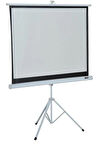 Gamma Screens 240x200 Tripod Projeksiyon Perdesi