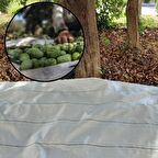 5X10 METRE ZEYTİN SERGENİ ZEYTİN TOPLAMA ÖRTÜSÜ FINDIK FISTIK DUT TOPLAMA FİLESİ BEYAZ HASAT TABAN ÖRTÜSÜ