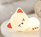 Uyuyan Kedi - LED Silika Jel Gece Lambası