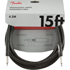 Fender Professional Inst SS 15