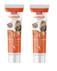 Bio PetActive Catimalt Plus Tüy Yumağı Önleyeci Malt Macun 100 Gr. X 2 Adet