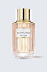 Estee Lauder Blushing Sands EDP 100 ml Kadın Parfüm