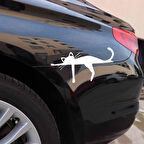 Araba Tamponunda uyuyan Kedi Komik Beyaz Renk Sticker