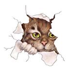 Kedi Oto araba Sticker yapıştırması 19cm renkli