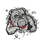 Öfkeli Köpek Araba Sticker yapıştırması oto etiket 19cm