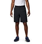 Columbia AM4084 Silver Ridge Cargo Short Kargo Şort
