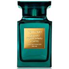 Tom Ford Neroli Portofino Forte EDP Unisex Parfüm 100 ml