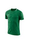 Nike M DRY CHALNG II JSY SS Erkek Tişört 893964-341