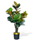 Yapay Ağaç Kauçuk Ağacı Metal Gold Kemerli Saksıda Ficus Elastica Salon Çiçeği 150*90 61 Yaprak