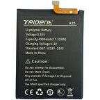 Trident A25 Pil Batarya 4500 Mah