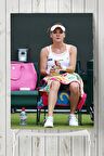 Agnieszka Radwanska Posteri 2   
