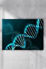 Dna Bilimsel Poster 