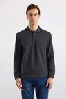 Antrasit Regular Düz Polo Yaka Sweatshirt