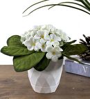 Yapay Çiçek Beyaz Saksıda Kadife Menekşe Gerçekçi Doku LİLA