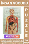 Eğitici Eğlenceli El-Göz Koordinasyonu Motor Becerisi Geliştiren 36 Parça Puzzle İNSAN VÜCUDU