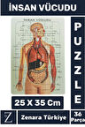 Premium Eğlenceli Eğitici Görsel Algı Motor Becerisi Geliştiren Çocuk PUZZLE 36 Parça İNSAN VÜCUDU
