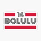 14 Bolulu Plaka Araba Sticker Yapıştırması