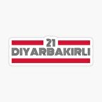 21 Diyarbakırlı Plaka Araba Sticker Yapıştırması