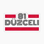 81 Düzceli Plaka Araba Sticker Yapıştırması