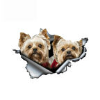 Yorkies çift etiket Araba Sticker YApıştırması 19 Cm
