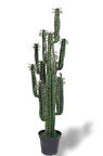 Yapay Çiçek Kaktüs Ağacı Siyah Saksıda 145*37cm 10 Kollu