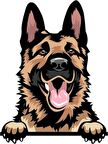 Alman Çoban Köpeği Araba Sticker Etiket 17CM