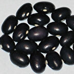 Geleneksel Grandma Ginas  Fasulye Tohumu (10 tohum)