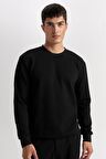 DeFacto Regular Fit Bisiklet Yaka Jakarlı Sweatshirt D5394AX24AUBK27