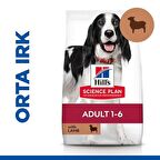 Hill's Adult Medium Lamb Rice Kuzu Etli ve Pirinçli Yetişkin Köpek Maması 14 Kg
