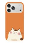 İphone 17 Pro Max Uyumlu Kedi Baskılı Silikon Kılıf