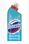 Domestos Ultra Çamaşır Suyu 750 ml Okaliptus