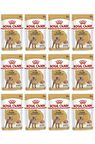 Royal Canin Kümes Hayvanlı Chihuahua Irkı Yetişkin Kuru Köpek Maması 12x85 gr